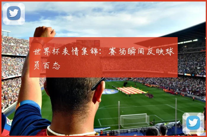 世界杯表情集锦:赛场瞬间反映球员百态