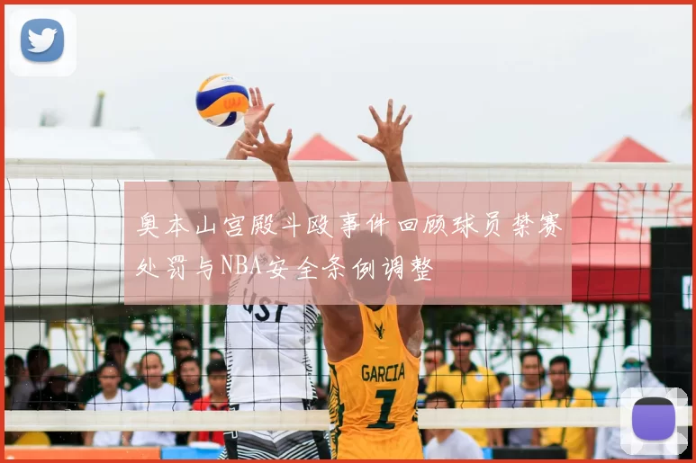 奥本山宫殿斗殴事件回顾球员禁赛处罚与NBA安全条例调整