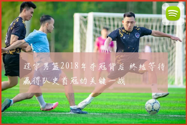 辽宁男篮2018年夺冠背后 终结等待赢得队史首冠的关键一战