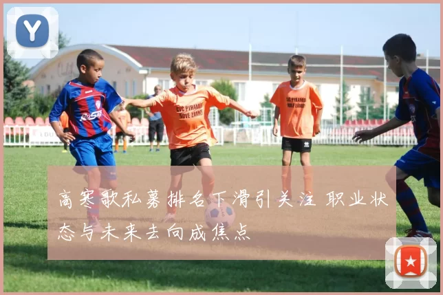 高寒歌私募排名下滑引关注 职业状态与未来去向成焦点